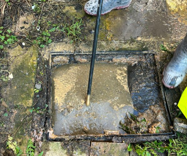 PHOTO-2024-03-05-13-17-44 (3)